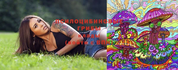 прущий лед Гусев