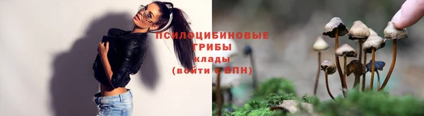 МДМА Дмитриев