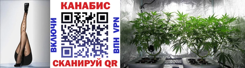 дарнет шоп  Волгодонск  Шишки марихуана ГИДРОПОН 